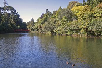 Pukekura Park 2 Pukekura Park 2